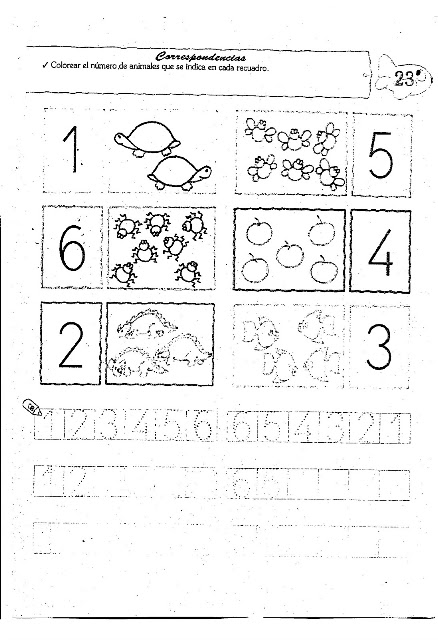 activiades-para-ni-os-de-5-a-os